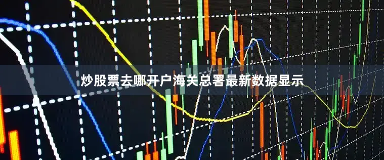 炒股票去哪开户海关总署最新数据显示