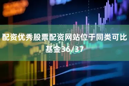 配资优秀股票配资网站位于同类可比基金36/37