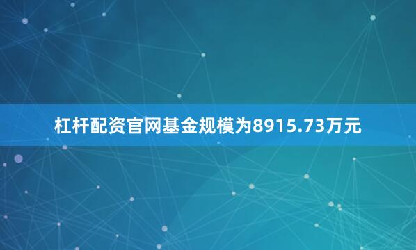 杠杆配资官网基金规模为8915.73万元